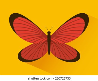 butterfly graphic design , vector illustration