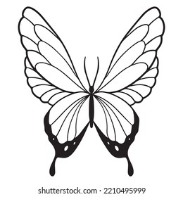 butterfly graphic design vector illustration, art tattoo sketch, hand draw, print use