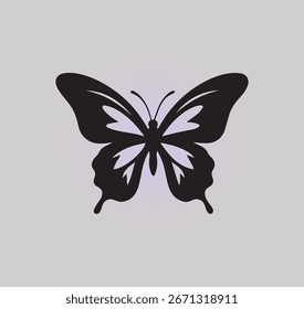 mariposa elemento gráfico Ilustración diseño de Plantilla
