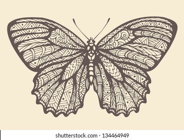 Butterfly, graphic style, hand drawn, vector illustration