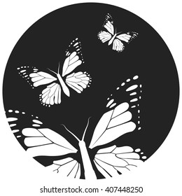 Butterfly, graphic style, hand drawn, black and white isolated vector illustration