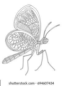Butterfly  graphic vector illustration