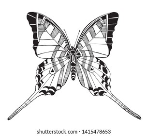 Butterfly graphics, suitable for illustrations, and for further work with her.