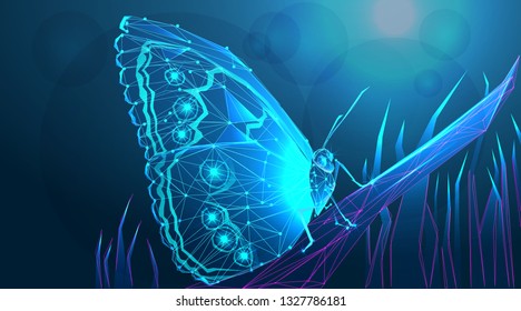 Butterfly in the grass at night in the shining moonlight on nature in blue and purple tones. Fabulous magical artistic image of a dream, copy space. Banner. Low poly vector illustration