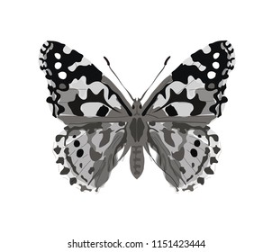 Digitally Created Butterfly Sketch On Black Stock Illustration 1666541362