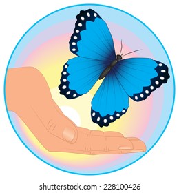 butterfly in hand