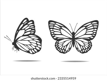 butterfly hand draswn design vector