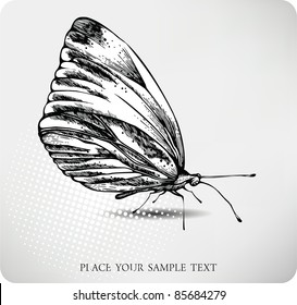 Butterfly hand drawing. vector
