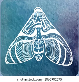 butterfly hand drawing, vector illustration of white outline on colored background