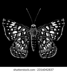 butterfly hand drawing vector isolated on black background.