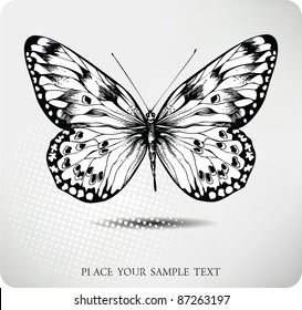 Butterfly hand drawing.Vector