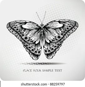 Butterfly hand drawing.Vector