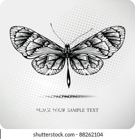 Butterfly hand drawing.Vector