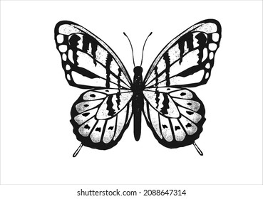 butterfly hand drawn design vector art hand drawn