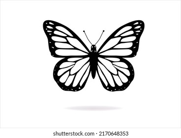 butterfly hand drawn design vector