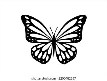 butterfly hand drawn design vector art