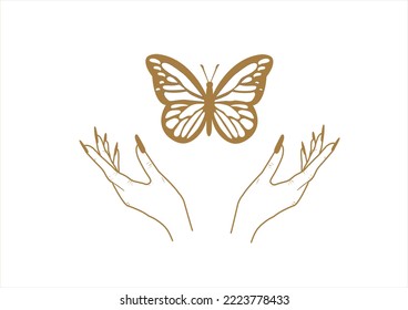 butterfly hand drawn design vector hand drawn 