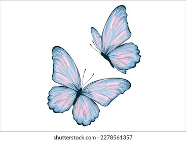 butterfly hand drawn design vector 