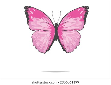 BUTTERFLY HAND DRAWN DESIGN VECTOR HAND DRAWN