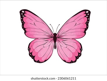 BUTTERFLY HAND DRAWN DESIGN VECTOR HAND DRAWN