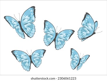 BUTTERFLY HAND DRAWN DESIGN VECTOR HAND DRAWN