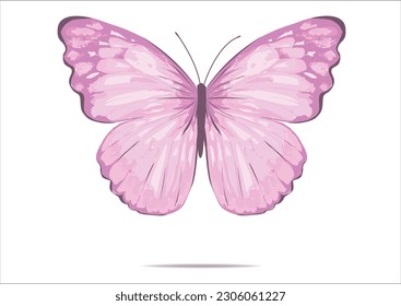 BUTTERFLY HAND DRAWN DESIGN VECTOR HAND DRAWN