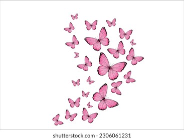 BUTTERFLY HAND DRAWN DESIGN VECTOR HAND DRAWN