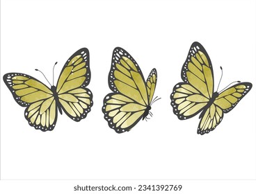 vector de diseño dibujado a mano de mariposa