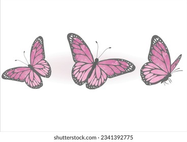 butterfly hand drawn design vector