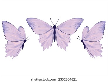 vector de diseño dibujado a mano de mariposa