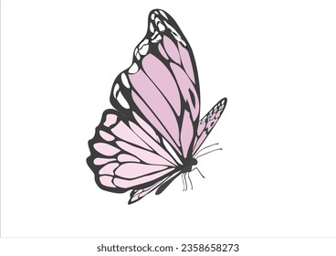 butterfly hand drawn design vector