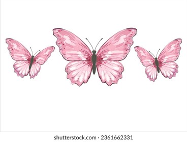 butterfly hand drawn design vector  heart