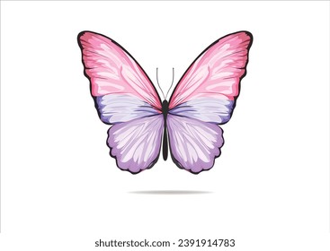 butterfly hand drawn design vector