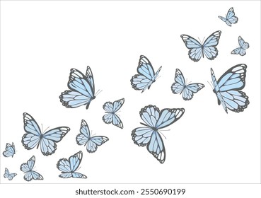 butterfly hand drawn design vector