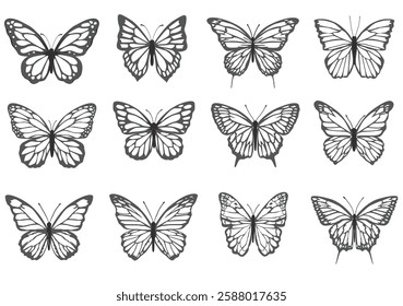 butterfly hand drawn design vector art