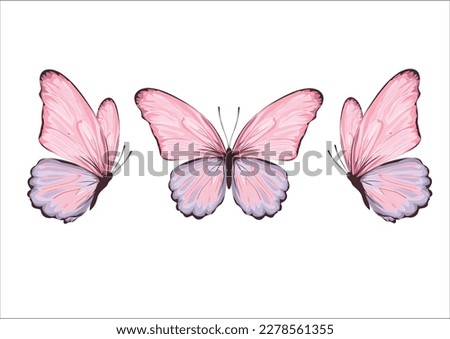 butterfly hand drawn design vector 