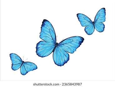 butterfly hand drawn desing vector