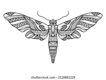 Butterfly. Hand drawn ethnic patterned in doodle, zentangle style. Coloring book page for adults and child- zendala, design for relax and meditation, illustration isolated on white background