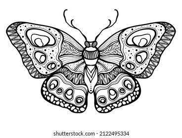 Butterfly. Hand drawn ethnic patterned in doodle, zentangle style. Coloring book page for adults and child- zendala, design for relax and meditation, illustration isolated on white background