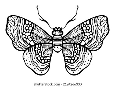 Butterfly. Hand drawn ethnic patterned in doodle, zentangle style. Coloring book page for adults and child- zendala, design for relax and meditation, illustration isolated on white background
