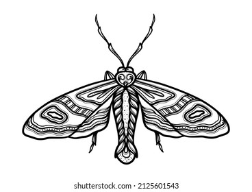 Butterfly. Hand drawn ethnic patterned in doodle, zentangle style. Coloring book page for adults and child- zendala, design for relax and meditation, illustration isolated on white background