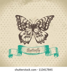 Butterfly. Hand drawn illustration