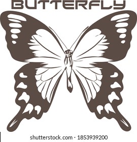 Butterfly. Hand drawn sketch for adult coloring book page, T-shirt emblem and logo