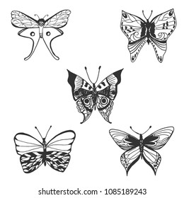 Butterfly, hand drawn vector illustration