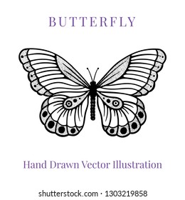 
Butterfly. Butterfly hand drawn vector illustration. Part of set.
