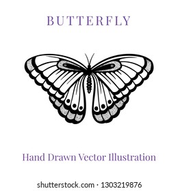 
Butterfly. Butterfly hand drawn vector illustration. Part of set.
