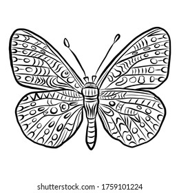Butterfly hand drawn vector illustration isolated on white background. Decorative with patterns, coloring page for children and adults.Stylish jewelry. Dud and Zen, meditation, relaxation. 

 