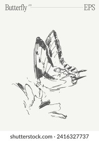 Ilustración vectorial dibujada a mano de mariposa, dibujo realista, esbozo