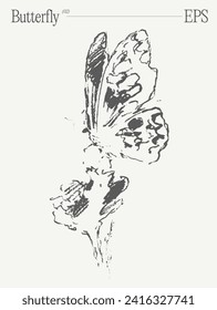 Butterfly-handgezeichnete Vektorgrafik, realistische Zeichnung, Skizze