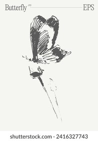 Butterfly hand drawn vector illustration, realistic drawing, sketch